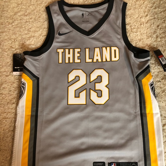 Lebron James Cleveland Cavs The Land Swingman Jersey NBA Basketball Retro King - Picture 2 of 8